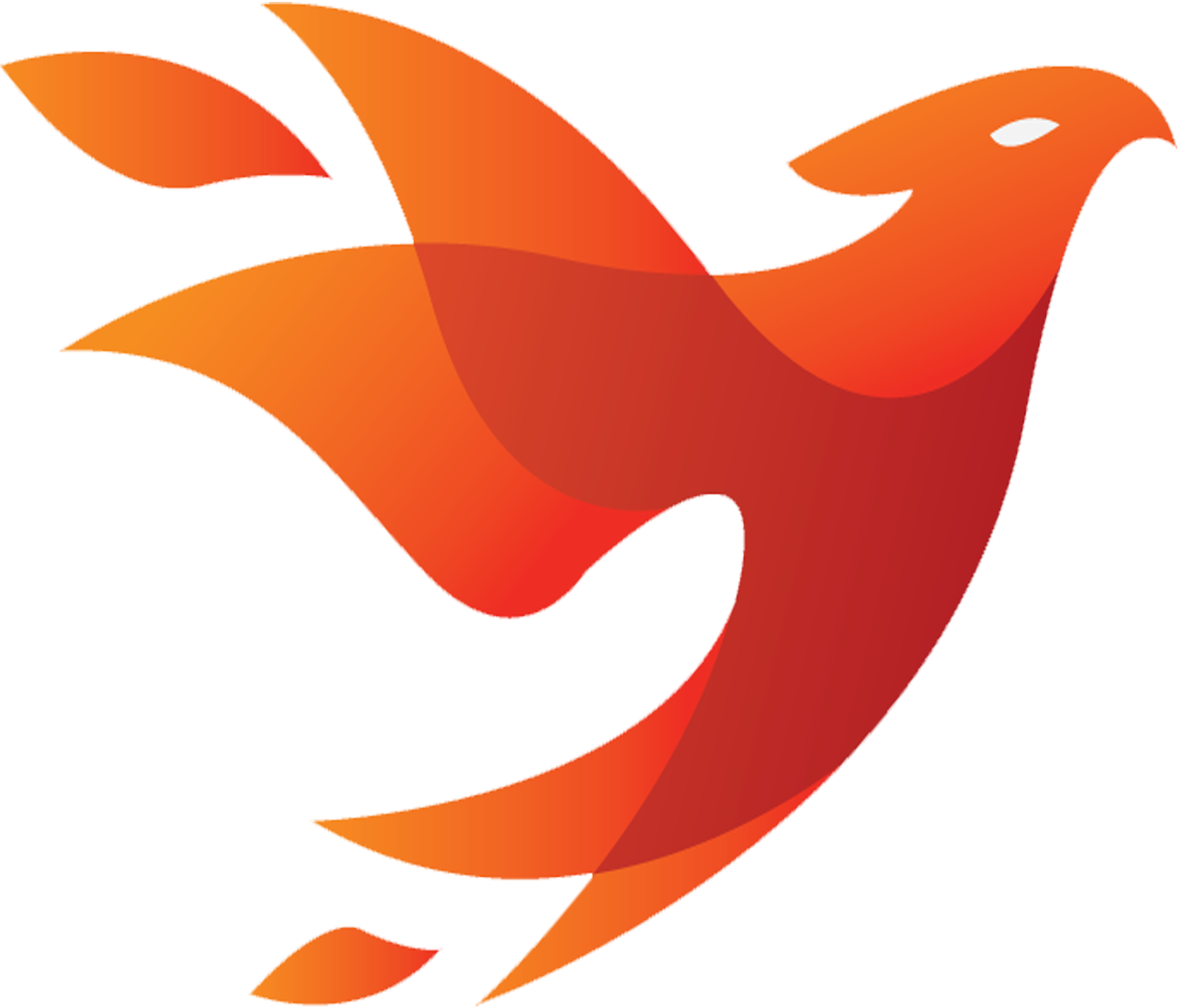 IntecHost Web Solutions